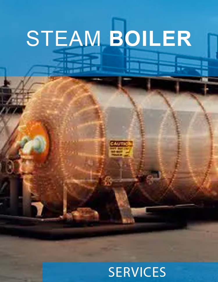STEAM BOILER - How Have Energy Service Companies Adapted to the NEW Norm?
